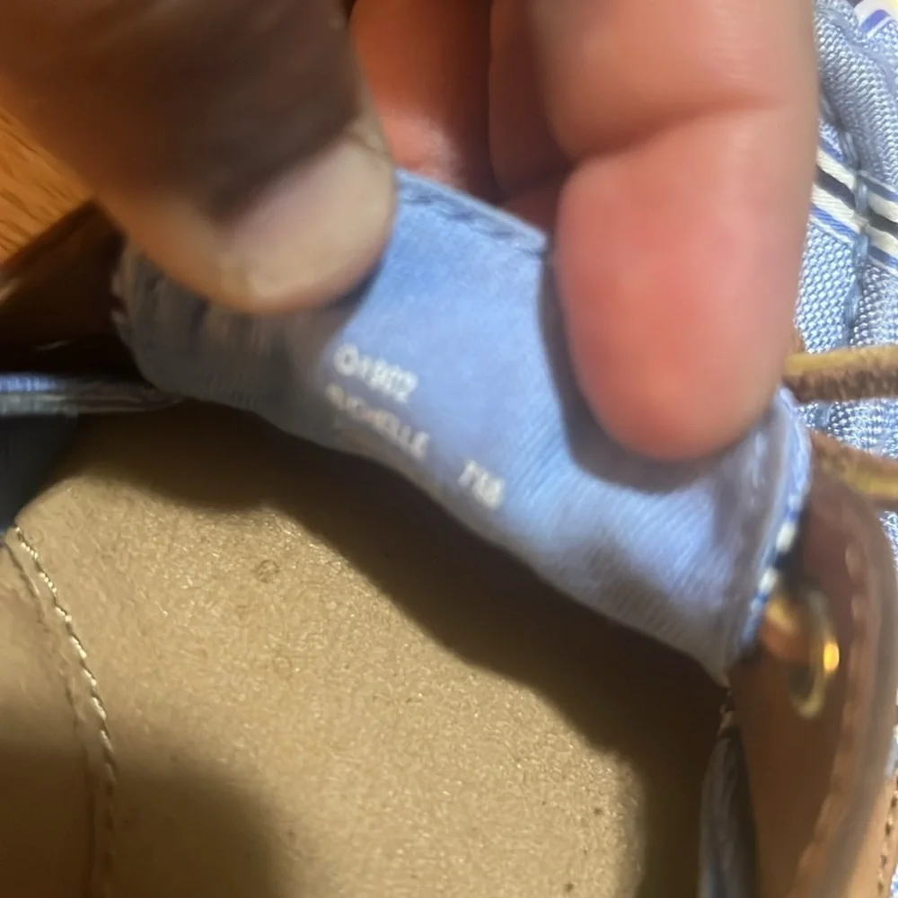 Coach shoes